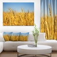 thumbnail image 1 of Bright Golden Wheat Field - Large Landscape Canvas Art, 1 of 4