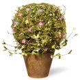 thumbnail image 1 of National Arbre RAS-030129A 16 Po Topiaire avec Pot, 1 of 1