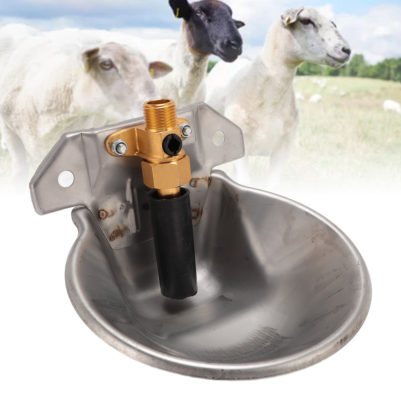Stainless Steel Livestock Water Bowl, Touch Activated, Durable  Water Saving For Sheep  Goats
