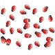 thumbnail image 1 of Adornos decorativos para exteriores, mariquitas decorativas de resina para decoración creativa de jardines y hogares, pegatinas autoadhesivas que aportan un toque de naturaleza, resistentes y, 1 of 5