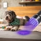 thumbnail image 3 of Luz púrpura, mini linterna UV, detector de luz negra ultravioleta para orina de perro, manchas de mascotas y chinches, 3 of 8