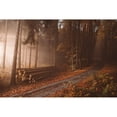 thumbnail image 3 of Hudolin, Tomas 24x17 Black Modern Framed Museum Art Print Titled - Orange Beauty In Common Things, 3 of 5