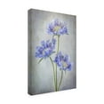 thumbnail image 4 of Canvas Wall Art - Mandy Disher 'Scabiosa' Wall Art for Living Room, Bedroom, or Office Décor by Trademark Fine Art - 22 x 32 Inches, 4 of 4
