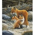 thumbnail image 2 of Weenink, Jan 12x13 Gold Ornate Wood Framed with Double Matting Museum Art Print Titled - Fox family, 2 of 4