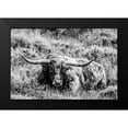 thumbnail image 2 of Stockton, Tyler 24x17 Black Modern Framed Museum Art Print Titled - B and W Longhorn III, 2 of 5