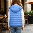 thumbnail image 4 of BLVB Boys Girls Hooded Puffer Vest Winter Lightweight Sleeveless Cute Ears Zipper up Jacket Waistcoat for Kids(Blue,12-13 Years), 4 of 9