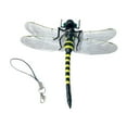 thumbnail image 2 of Modelo de libélula Strade Fareast Limited figura de libélula realista y vívida para patio trasero Bonsai alfiler grande y de cuerda, 2 of 8