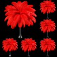 thumbnail image 1 of Plumas de avestruz Berlune, 150 unidades, naturales, 30 — 35 cm, color rojo, 1 of 6