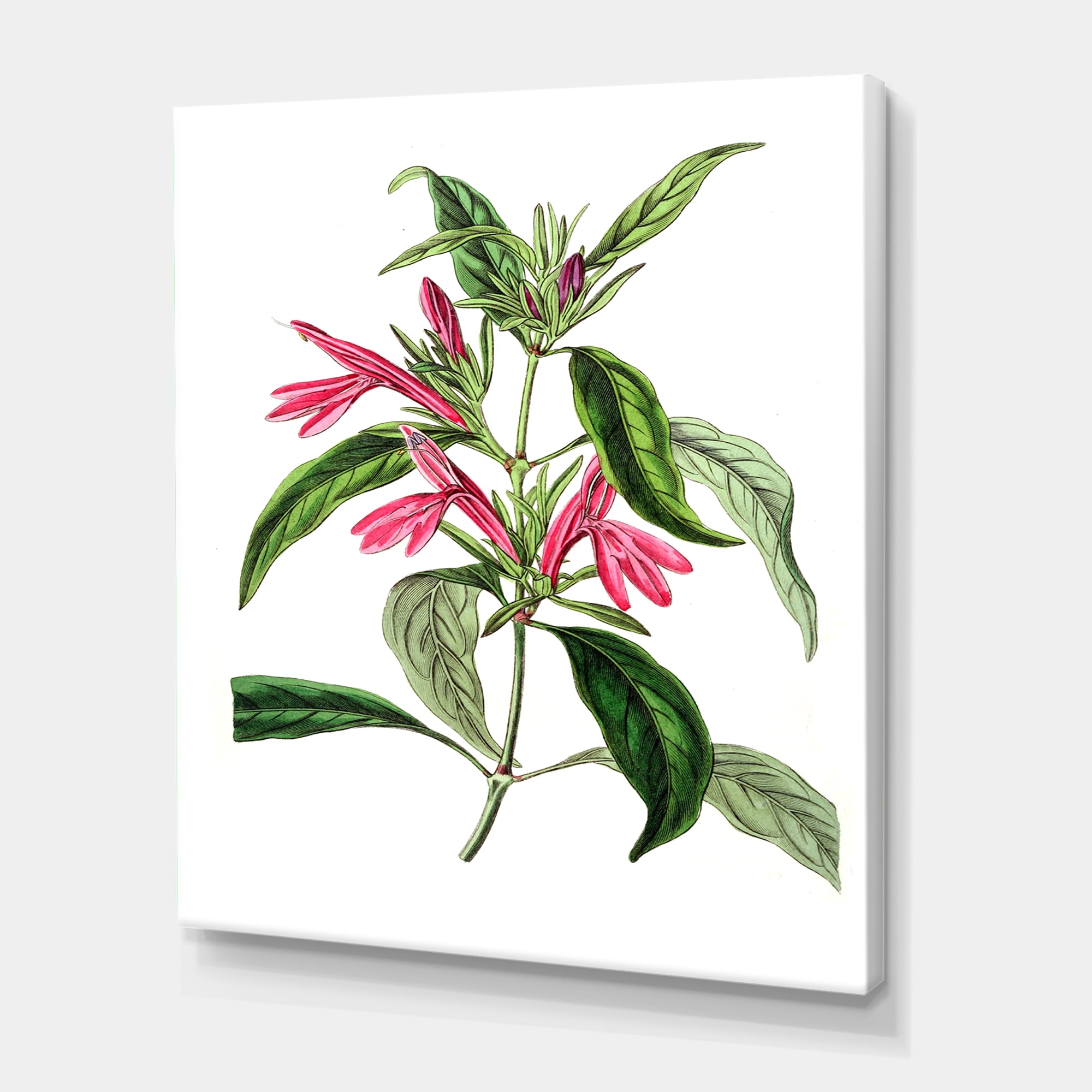 Designart ' Ancient American Flora VII ' Traditional Canvas Wall Art Print
