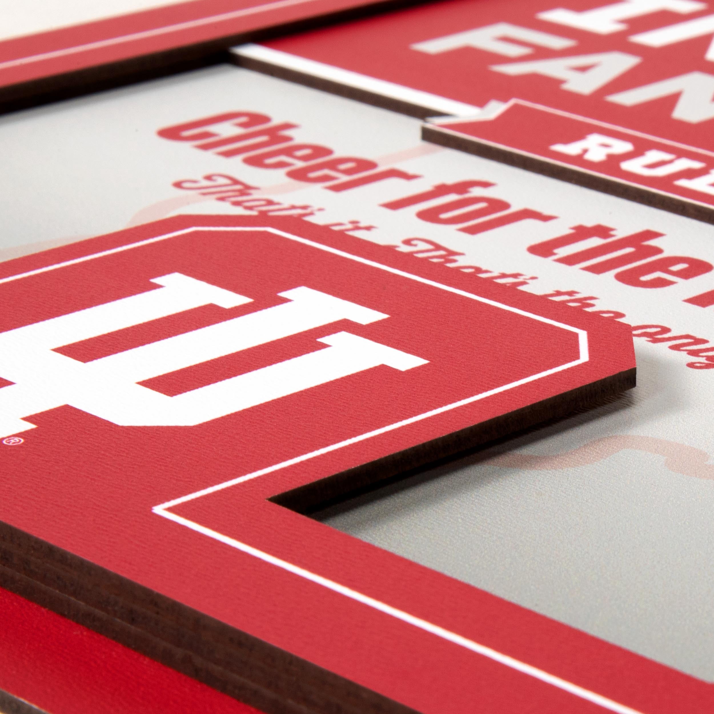 YouTheFan NCAA Indiana Hoosiers Fan Rules 3D Wall Art