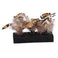 thumbnail image 1 of 3Pcs Pet Feather Toy Interactive Cat Toy Feather Cat Scratching Toy For Pet Kitten Cat, 1 of 8