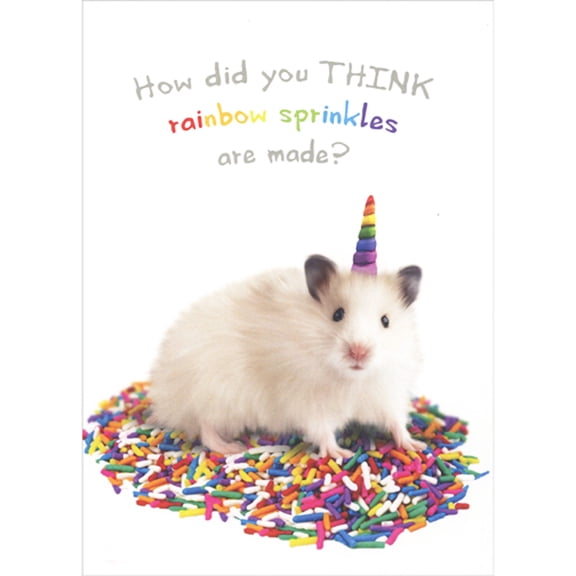 Tree-Free Greetings How Rainbow Sprinkles Are Made: Mouse Unicorn Funny Birthday Card