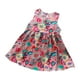 thumbnail image 1 of Odeerbi Niñas Verano Algodón Tank Vestido Floral Sol Bebé Impresión Gráfica Sin Mangas A-Line Vestido, 1 of 5