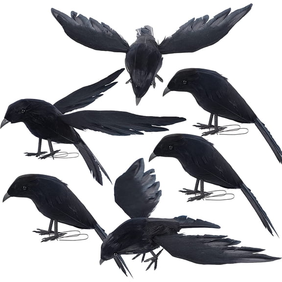 Halloween Crow Decorations 6 Pack Fake Black Crows and Ravens | Assorted Size, Handmade Feather Birds, Artificial Raven, Outdoor Indoor Decor