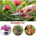 thumbnail image 4 of Heavy Duty Stainless Steel Pruning Scissors Sharp Hand Scissors for Garden Harvest Fruit Vegetable Tools, 4 of 5