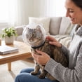 thumbnail image 7 of Transparent Cat Hood for Nail Trimming & Bathing, Adjustable Recovery Collar to Prevent Biting & Licking, 7 of 7