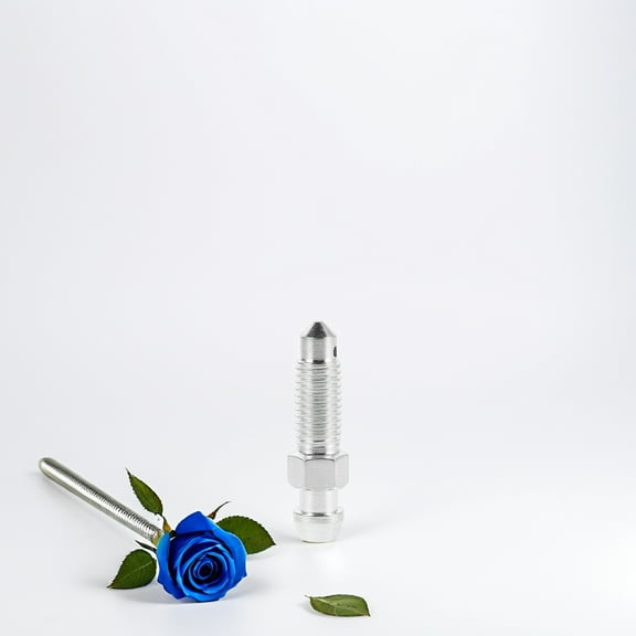 FOMIYES Bleeder Screw 2Pcs Galvanized Iron for Motorcycle Brake Bleeder Pump Fluid Release 1.26X0.35X0.35in