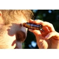 thumbnail image 2 of Peppermint Roll-On, 2 of 4