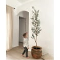 thumbnail image 5 of Nearly Natural 82" Olive Artificial Tree with Single Trunk Split in Green/Black, 5 of 5
