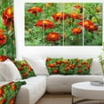thumbnail image 1 of Fleurs de Souci Rouges en Fleurs - Impression sur Toile, 1 of 3