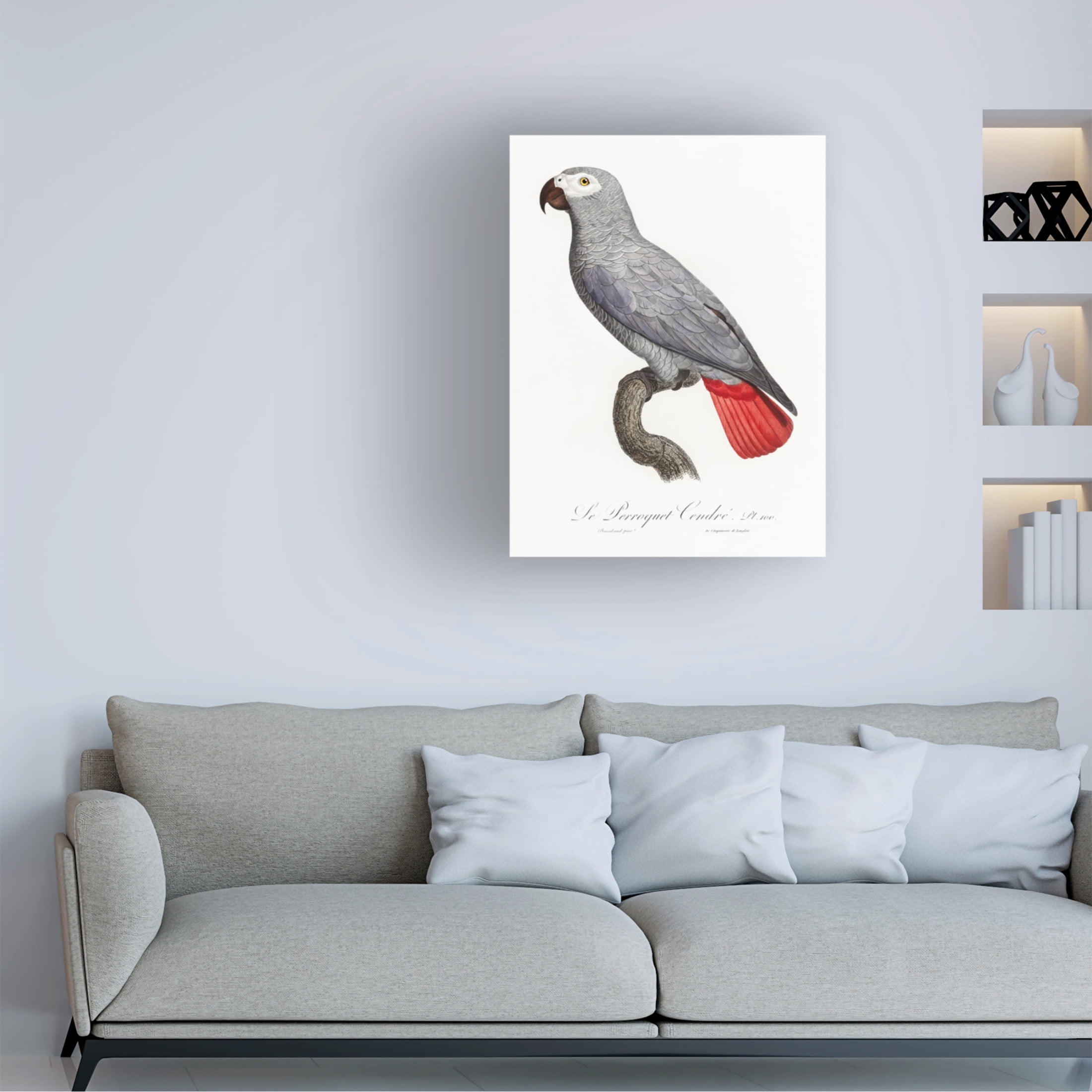 Trademark Fine Art Francois Levaillant Levaillant Parrot XII Canvas Wall Art