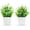 Green a, variant on 2 Packs Small Fake Plants Mini Artificial Potted Plants for Table Desk Home Bathroom Office Decor
