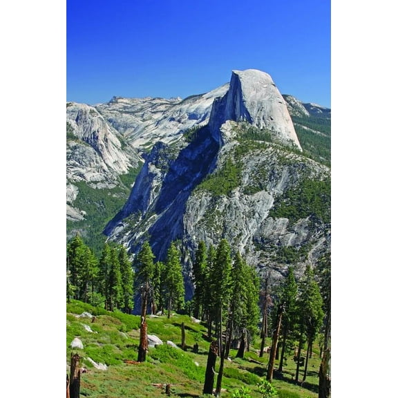 Hogan Mountain VIII Wall Decal