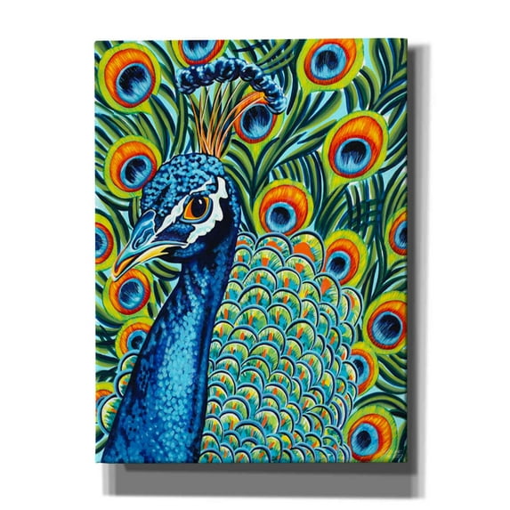 Epic Graffiti 'Plumed Peacock I' by Carolee Vitaletti, Canvas Wall Art, 40"x54"