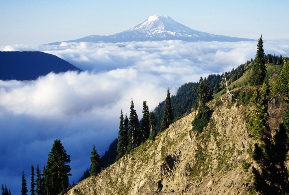 Mount Adams Above C