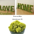 thumbnail image 3 of Moss Preserved Artificial Moss 8.8 oz Natural Fresh Green Moss for Craft Arts Floral Project Wall Decor Table Decor Wedding Centerpieces Garden Terrariums Decoration, 3 of 6