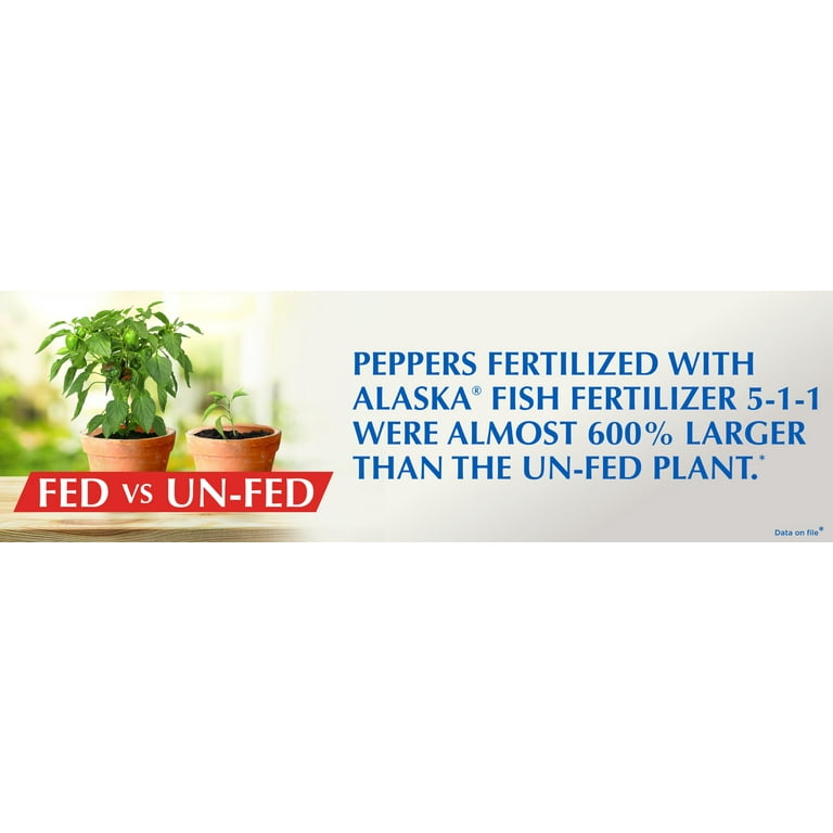Fish Emulsion Fertilizer 1 Pint - Cofer's Home & Garden