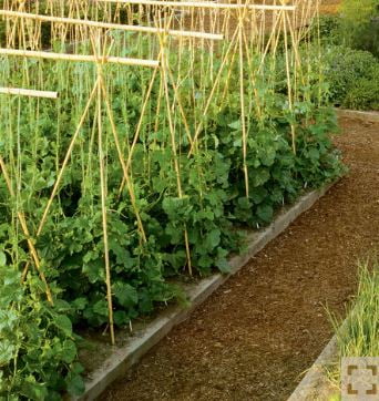 Backyard X-Scapes 6' Plant Support Bamboo Garden Stakes Natural (25 Pieces)
