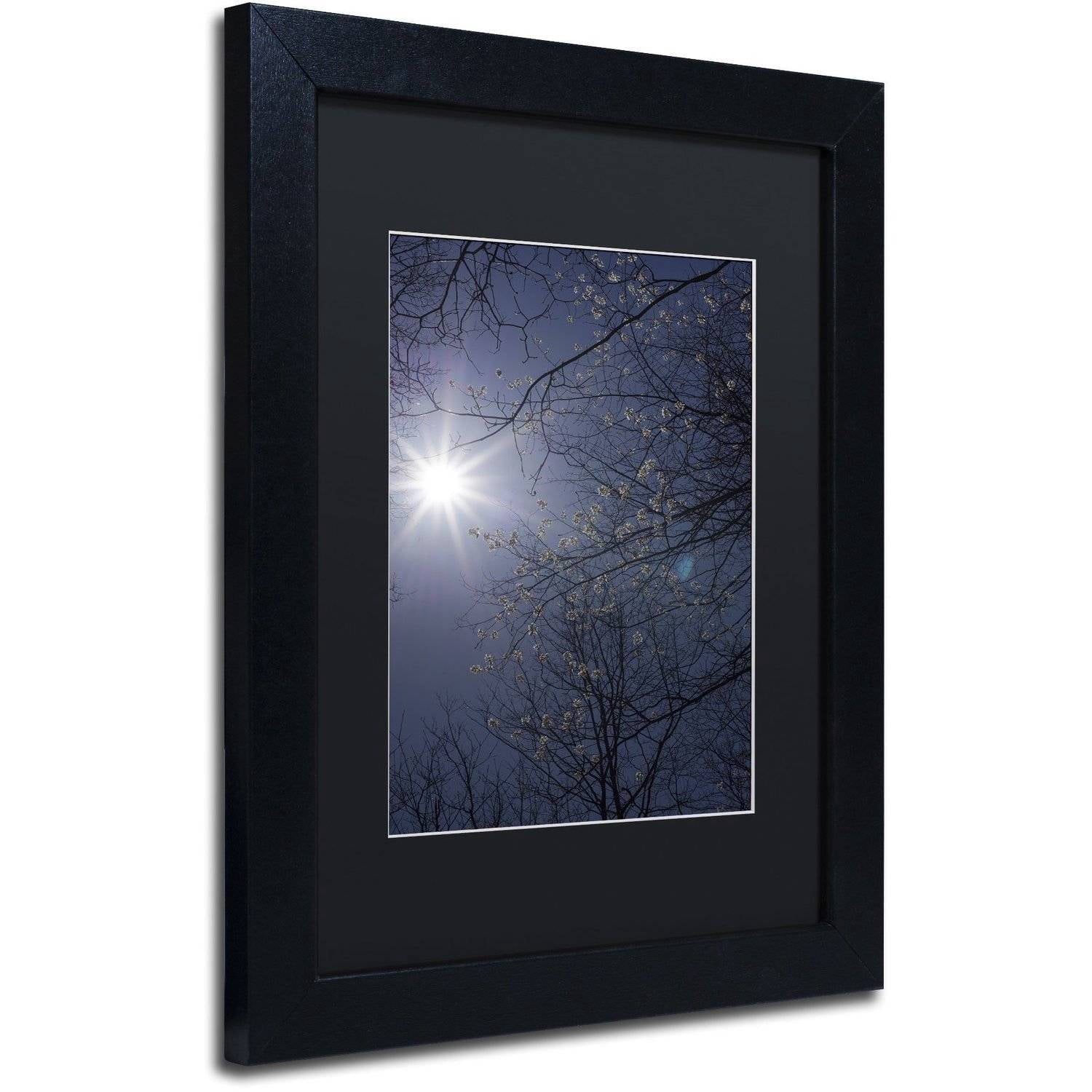 Trademark Fine Art "Springtime Sunshine" Canvas Art by Kurt Shaffer, Black Matte, Black Frame