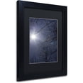 thumbnail image 2 of Trademark Fine Art "Springtime Sunshine" Canvas Art by Kurt Shaffer, Black Matte, Black Frame, 2 of 4