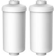 thumbnail image 1 of NSF/ANSI 372 Certified Fluoride Water Filter, Replacement for Berkey® PF-2® Fluoride Filter, Berkey® Gravity Filtration System (Pack of 2) Fluoride Water Filter Fluoride Water Filter, 1 of 5