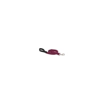 1in Berry 6ft Dog Leash