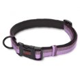 thumbnail image 1 of Company Of Animals - Collar para Perros Halti (Lila), 1 of 2