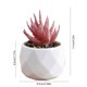 thumbnail image 3 of Mini Artificial Succulent In Plastic Pots Fake Plants For Indoors Office Decor For Women Office Home Decor Gifts Faux Plant, 3 of 6