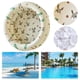 thumbnail image 1 of Anillo Natación para Baño Piscina Inflable Antideslizante Fiesta Acuática Verano, 1 of 9