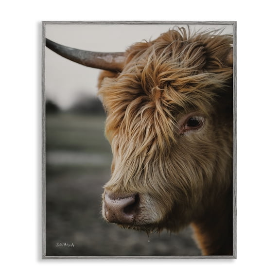 Stupell Industries Farmhouse Cattle Gazing Portrait Gray Framed Giclee Art, 16 x 20, by Dakota Diener