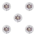 thumbnail image 1 of VONKY Resin Crystal Ball Enhancing Energy In Space Easily Portable Flower Crystal Ball Astrantia 8cm 5Set, 1 of 6