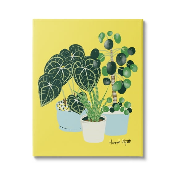 Stupell Industries House Plants on Yellow Botanical & Floral Painting Gallery Wrapped Canvas Print Wall Art, 16 x 20