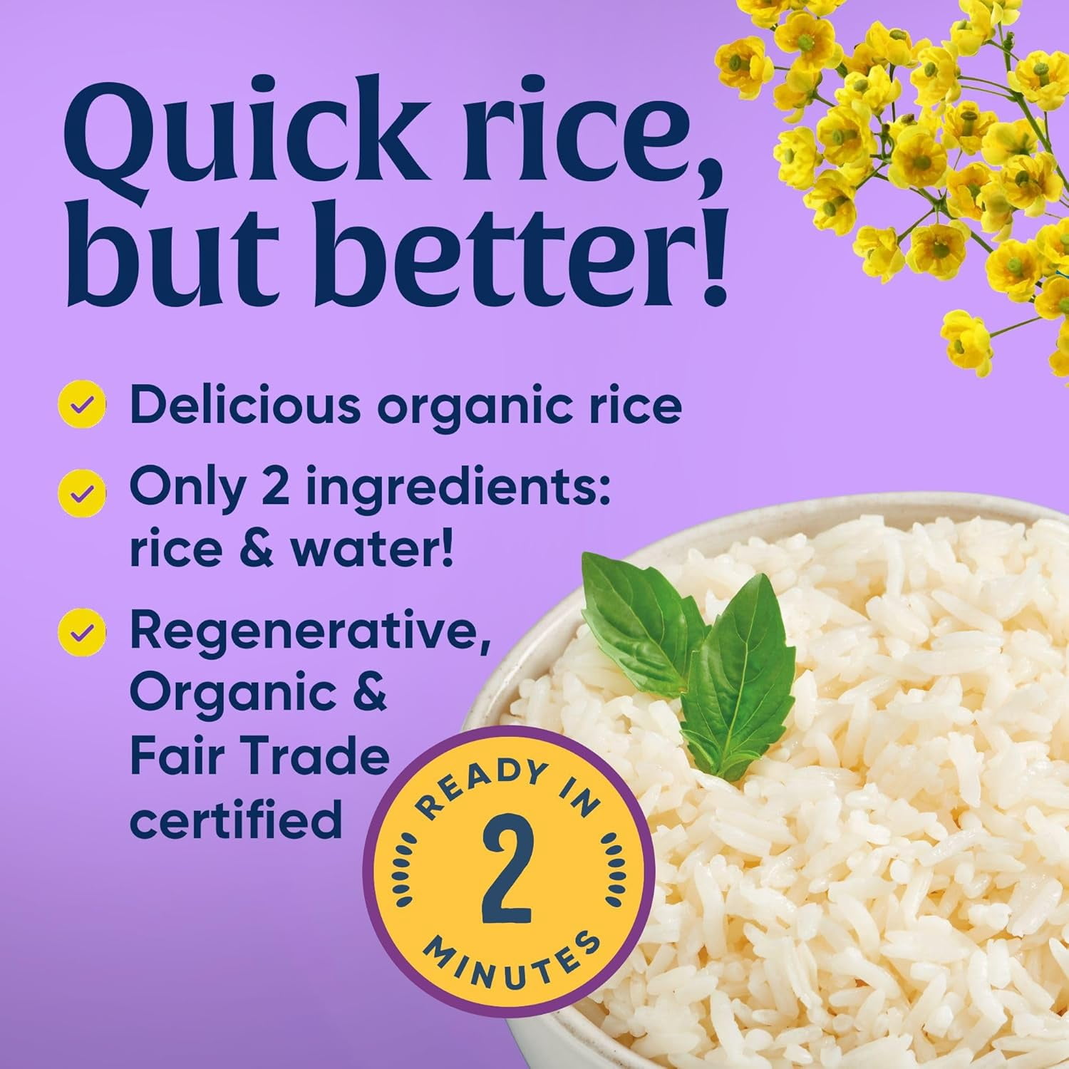 Pack of 6, Lundberg Family Farms Regenerative Organic Certified 2-Minute Jasmine Rice, Value Size, 17.3 oz