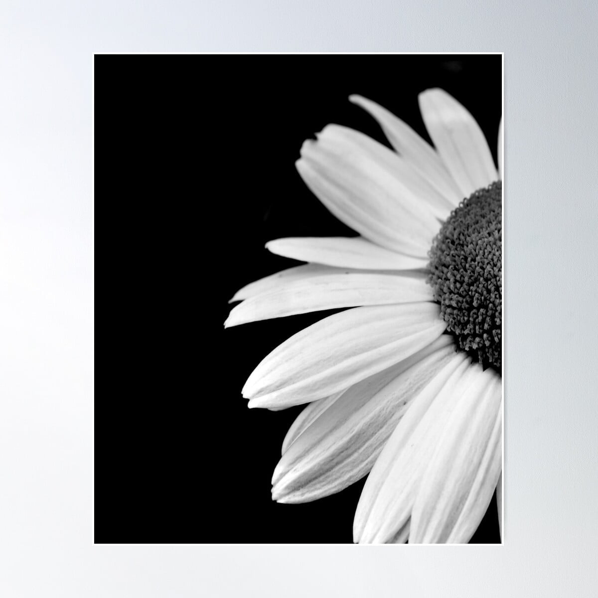 Half Daisy FlowerBlack And White Poster Wall Art Modern Wall Decor For Living Room Bedroom