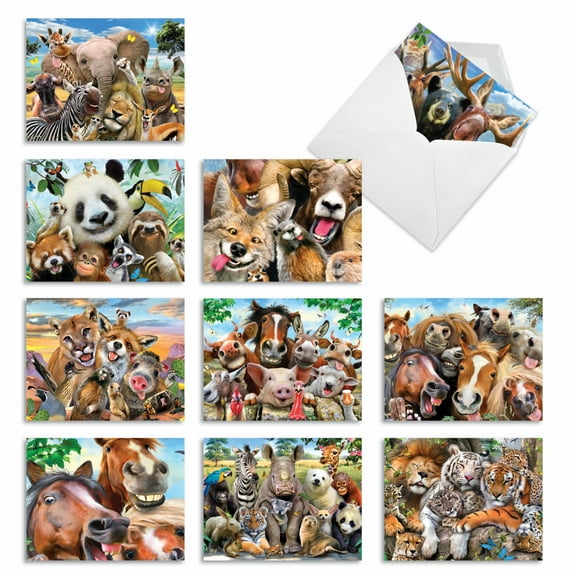 10 All Occasion Blank Note Cards Pack (4 x 5.12 Inch) - HERE'S LOOKING AT ZOO M6639OCB