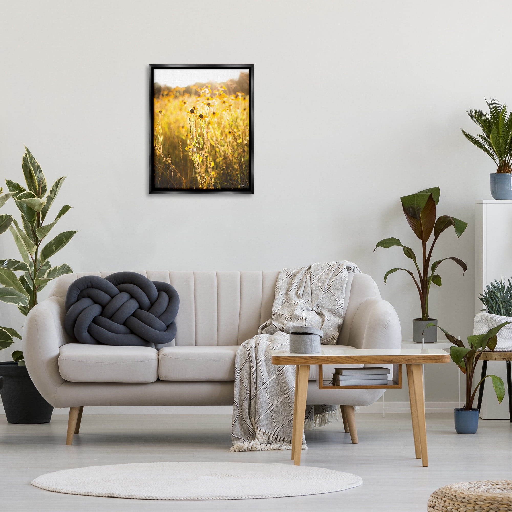Stupell Industries Sunlit Daisy Meadow Landscape Photography Black Floater Framed Canvas Art Print Wall Art, 25 x 31