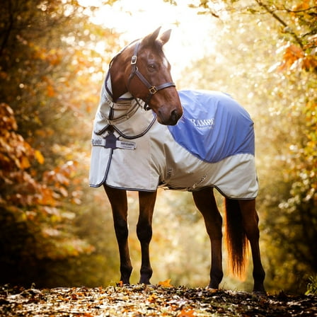 Rambo Autumn Series Turnout Sheet (0g Lite, 100g Contour Cut Liner, Hood), Grey/Blue (Navy Trim), Size: 78