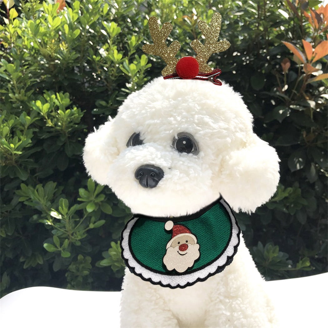 Dog hair scarf discount