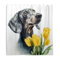 thumbnail image 2 of Dachshund with Yellow Tulips Watercolor Shower Curtains with 12 Hooks Waterproof Bathroom Decor 66" x 72", 2 of 6