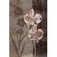 thumbnail image 2 of Venter, Tandi 17x24 Gold Ornate Wood Framed with Double Matting Museum Art Print Titled - Orchid Sketch I, 2 of 4